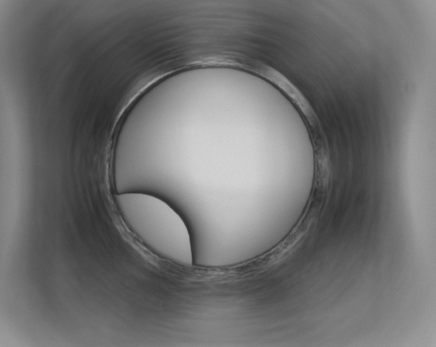 X0000113371002200909151023