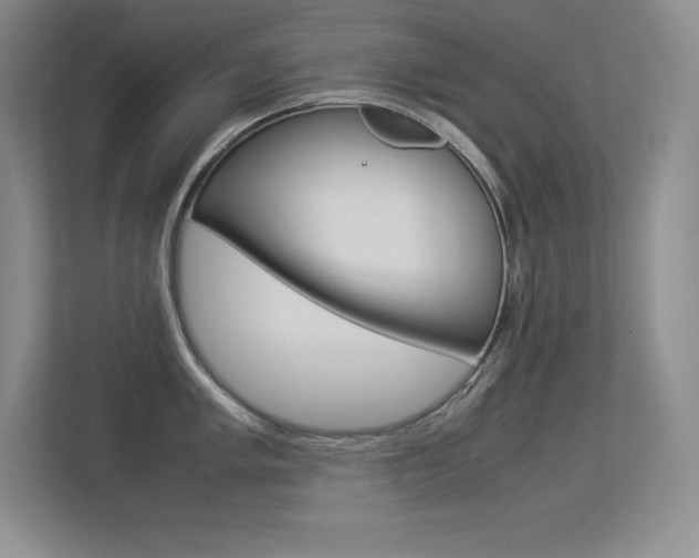 X0000113371005200909151023
