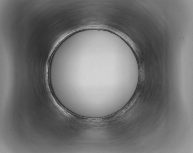 X0000113371006200909151023
