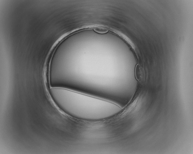 X0000113371007200909151023