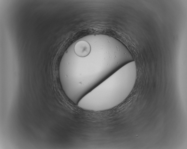 X0000113371009200909151022