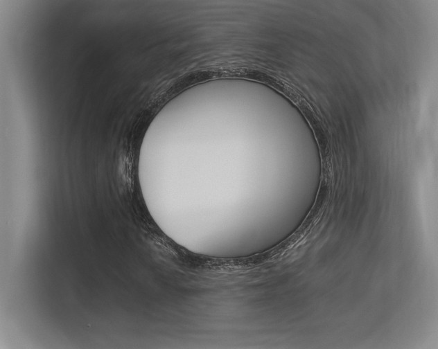 X0000113371010200909151022
