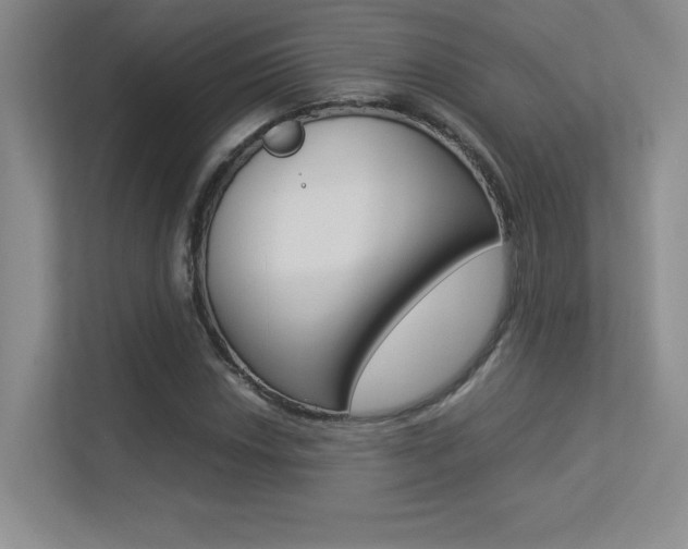 X0000113371018200909151022
