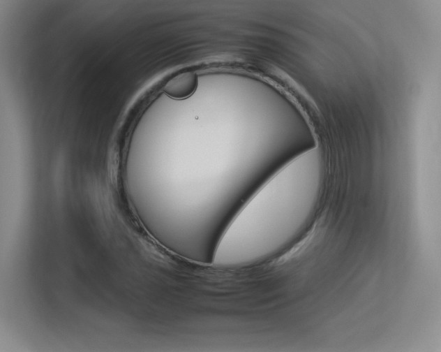 X0000113371021200909151022
