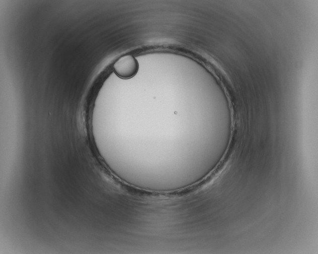 X0000113371022200909151022