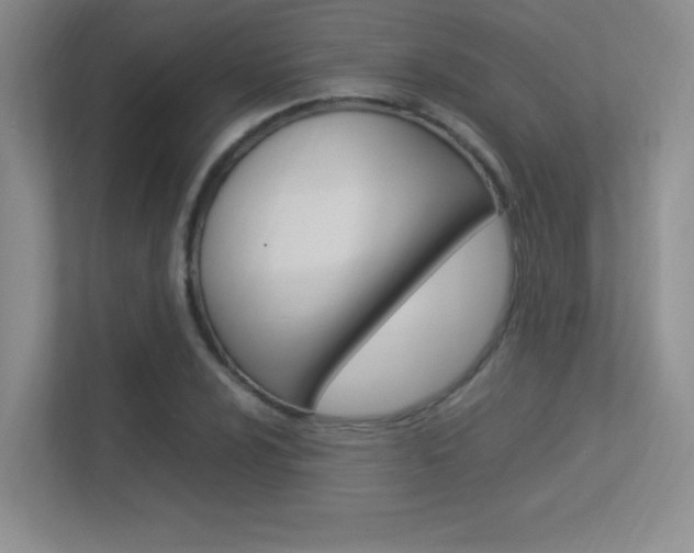 X0000113371024200909151022