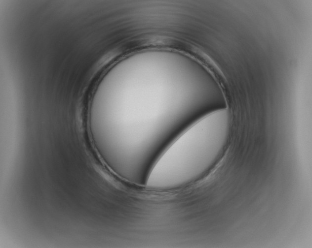 X0000113371026200909151022