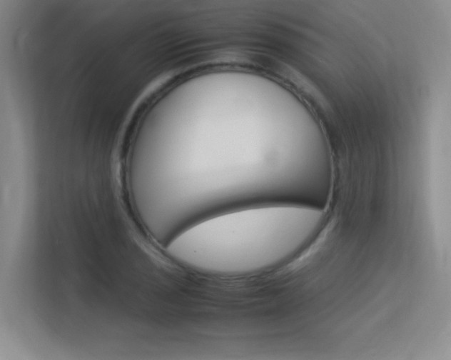 X0000113371029200909151023