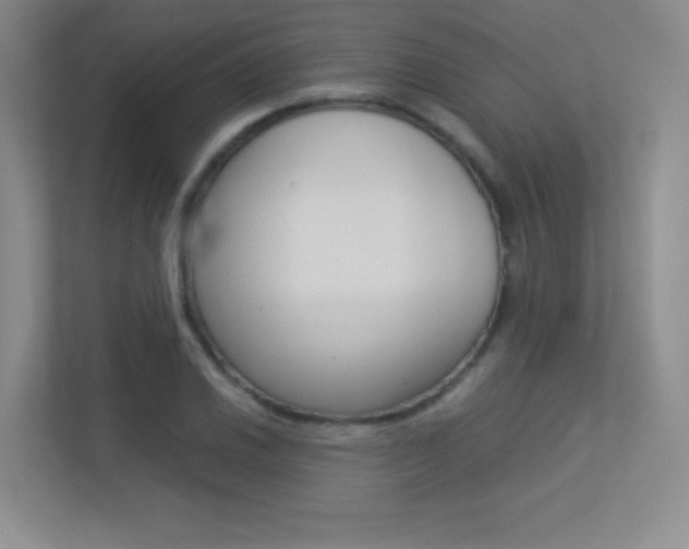 X0000113371030200909151023