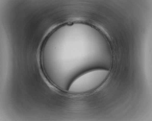 X0000113371038200909151023