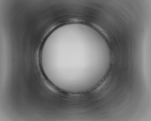 X0000113371039200909151023
