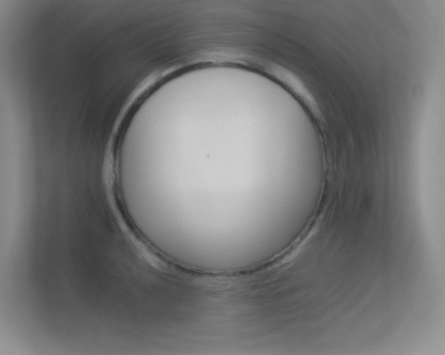 X0000113371040200909151023
