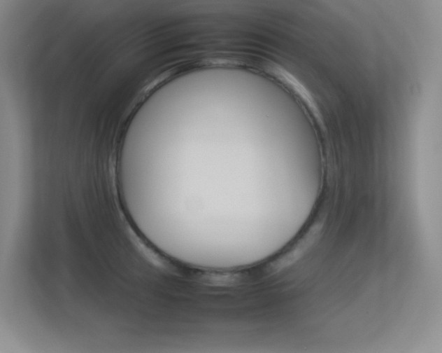 X0000113371041200909151023
