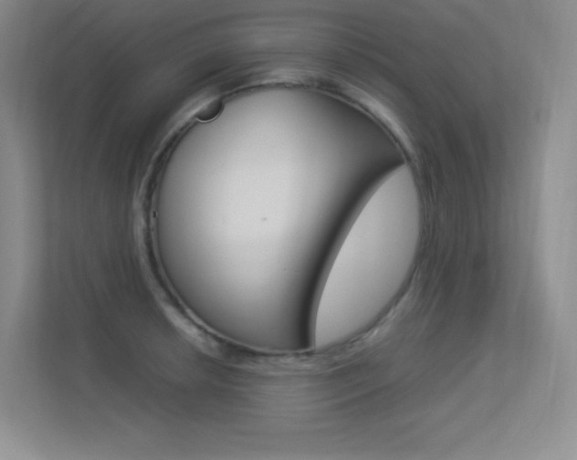 X0000113371042200909151023