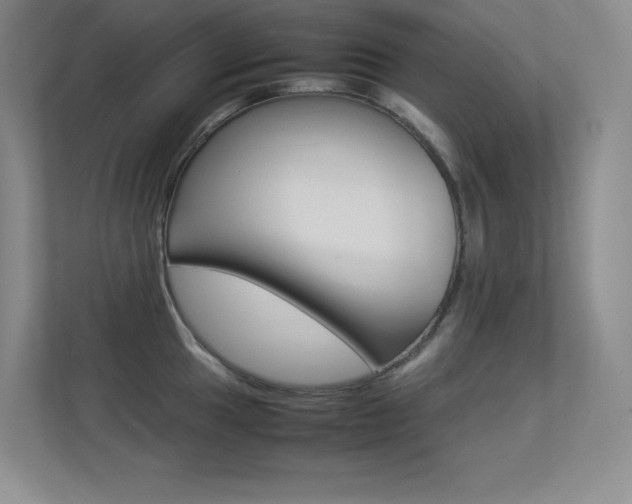 X0000113371049200909151023