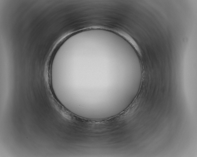 X0000113371051200909151023