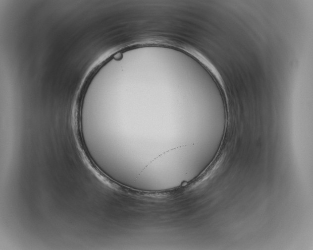 X0000113371053200909151023