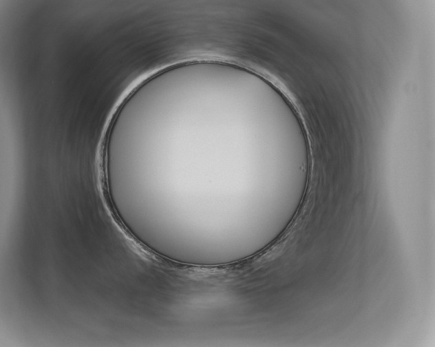 X0000113371056200909151023