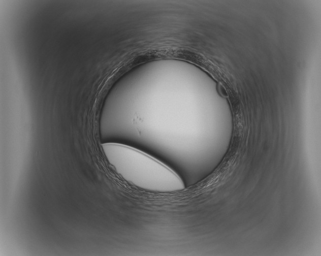 X0000113371057200909151022
