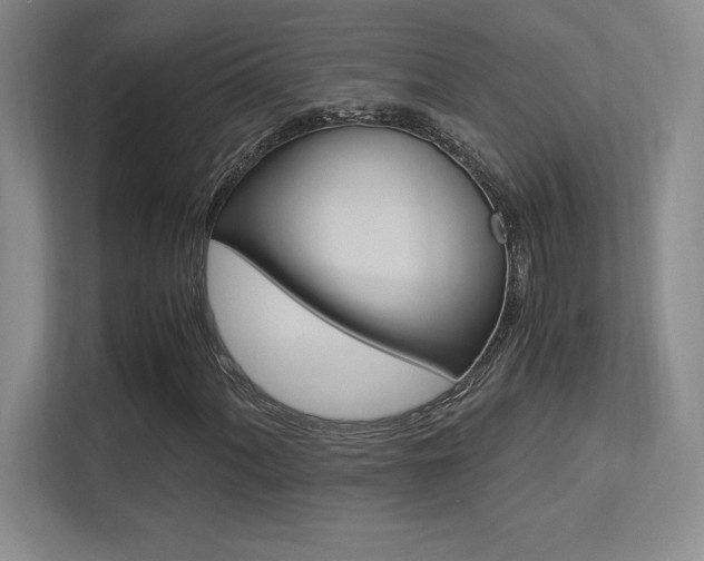 X0000113371060200909151022