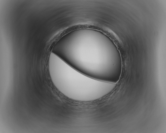 X0000113371064200909151022