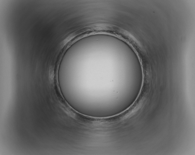 X0000113371065200909151022