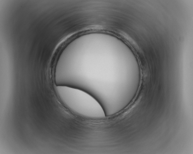X0000113371070200909151022