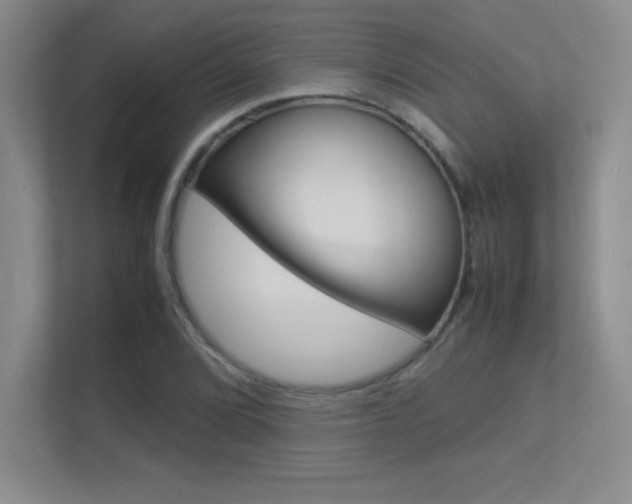 X0000113371072200909151022