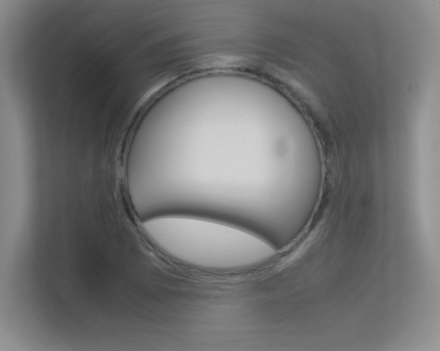 X0000113371073200909151022