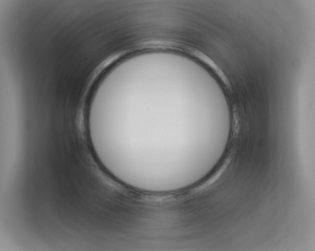 X0000113371074200909151022