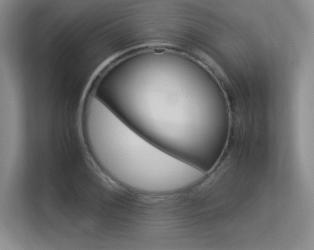 X0000113371076200909151022