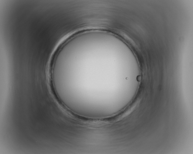 X0000113371077200909151022