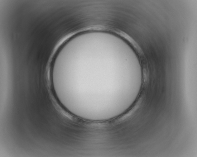 X0000113371078200909151022