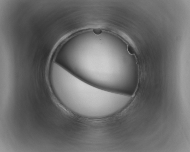 X0000113371080200909151022