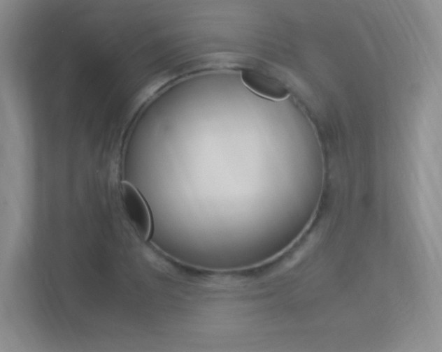 X0000113371081200909151022
