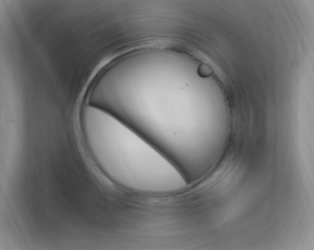 X0000113371083200909151022