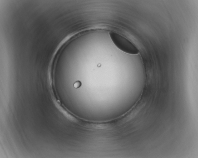 X0000113371084200909151022