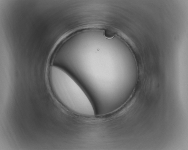 X0000113371085200909151022