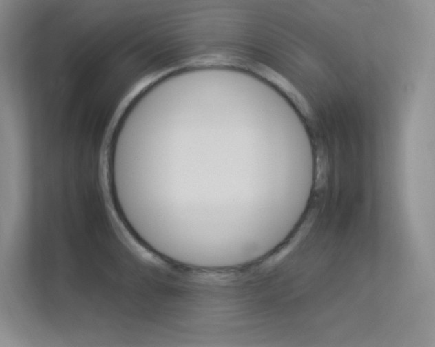 X0000113371086200909151022