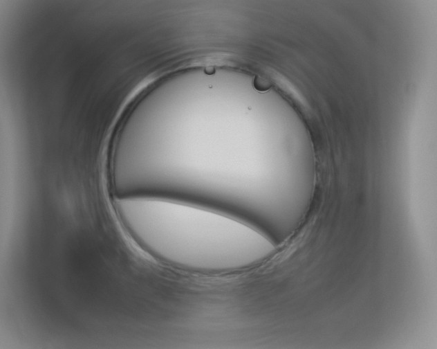 X0000113371087200909151022