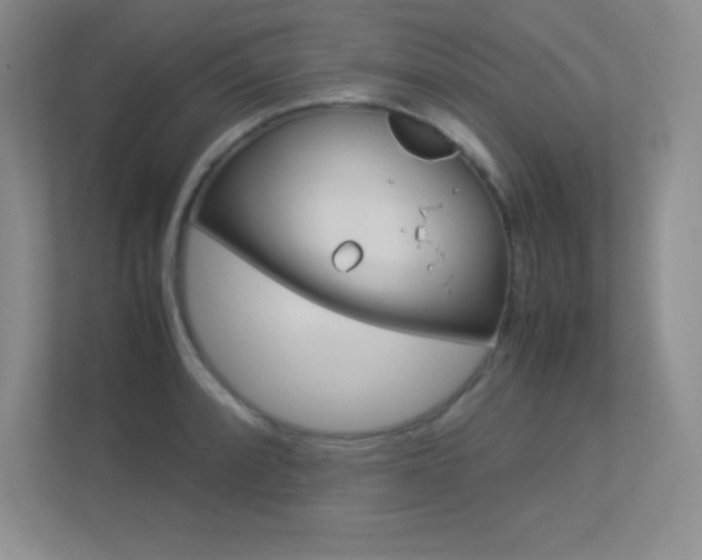 X0000113371088200909151022