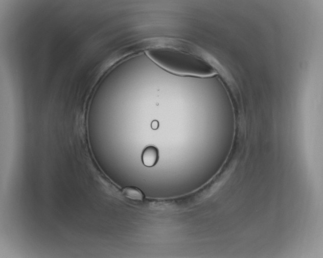 X0000113371089200909151022
