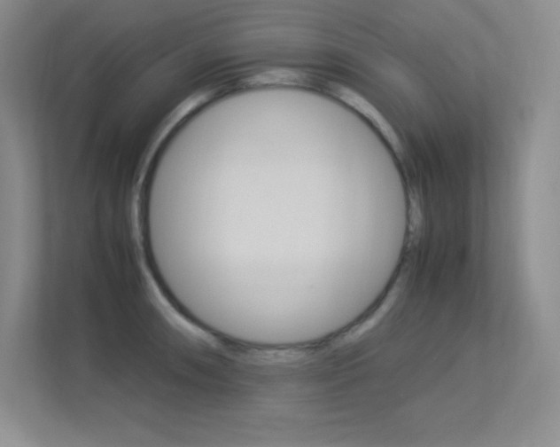 X0000113371090200909151022