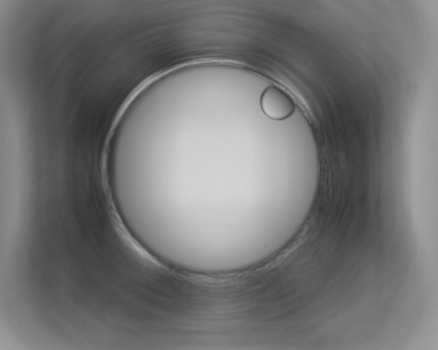 X0000113371092200909151022