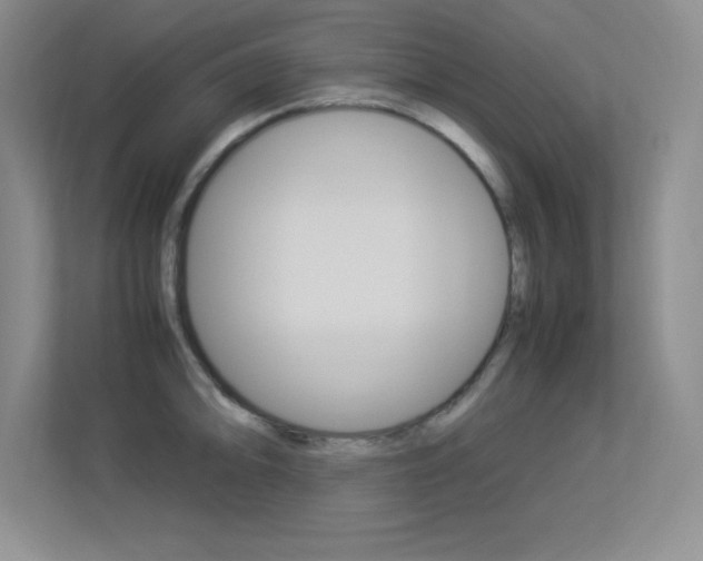X0000113371094200909151022