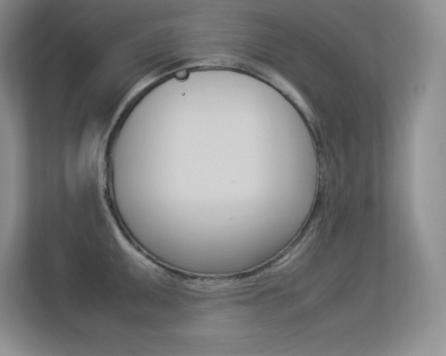 X0000113371095200909151022