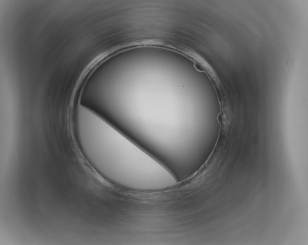X0000113371096200909151022