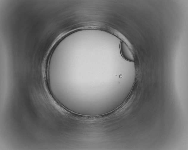 X0000113371099200909151022