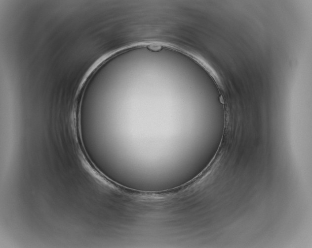 X0000113371100200909151022