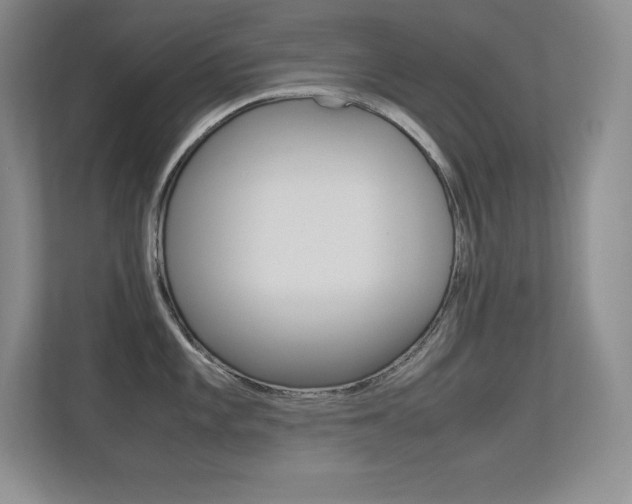 X0000113371101200909151022